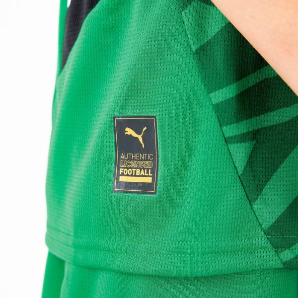 Jersey Borussia Mönchengladbach 2024/25 Away Puma Football Kit Green | Jersey-619