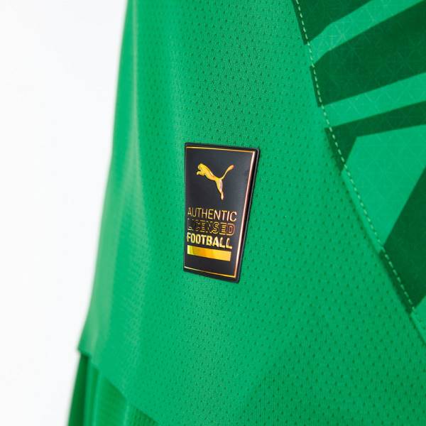 Jersey Borussia Mönchengladbach 2024/25 Match Away Puma Football Kit Green | Jersey-617