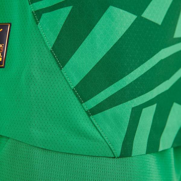 Jersey Borussia Mönchengladbach 2024/25 Match Away Puma Football Kit Green | Jersey-617